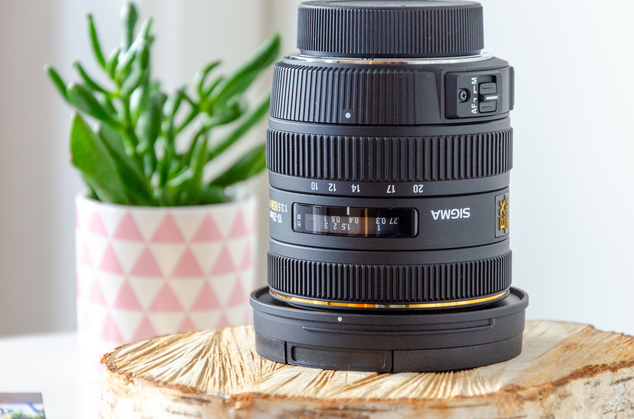 Prise de vue photographique professionnelle pour communication d'entreprise.
